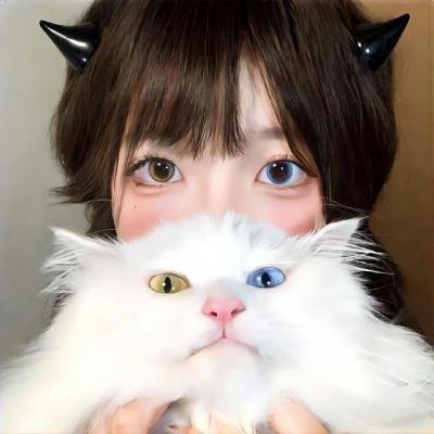 Colorful 多彩奇幻之旅